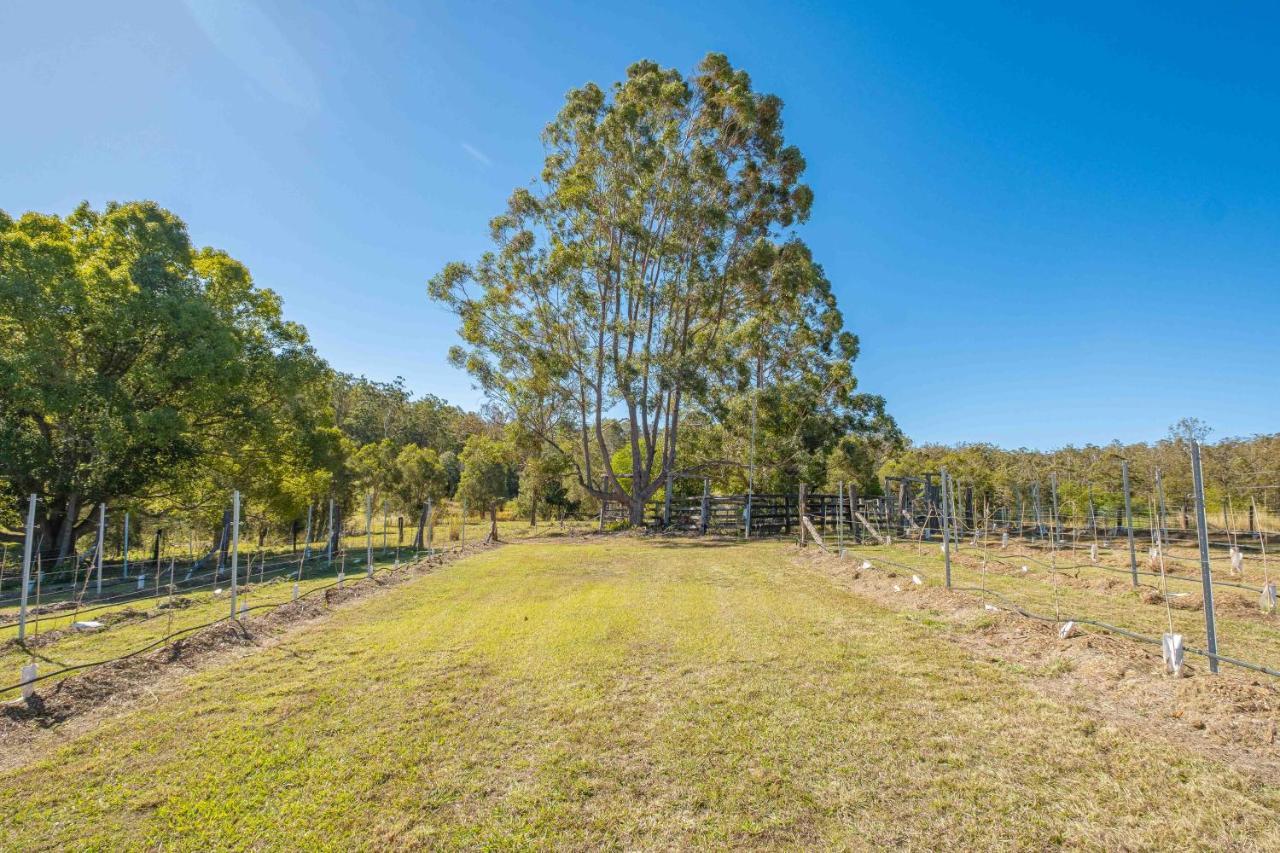 Widgereedoo Farm. Vineyard Views. Peaceful Retreat. Villa Tamaree Buitenkant foto
